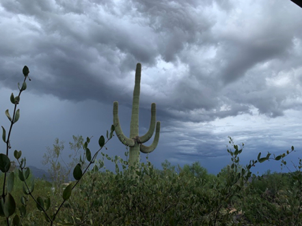 Jan 18 - Storm headed this way!
Note: the rain never arrived, just beautiful clouds.